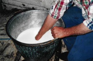 berto 2