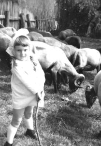 piccola pastora 1967
