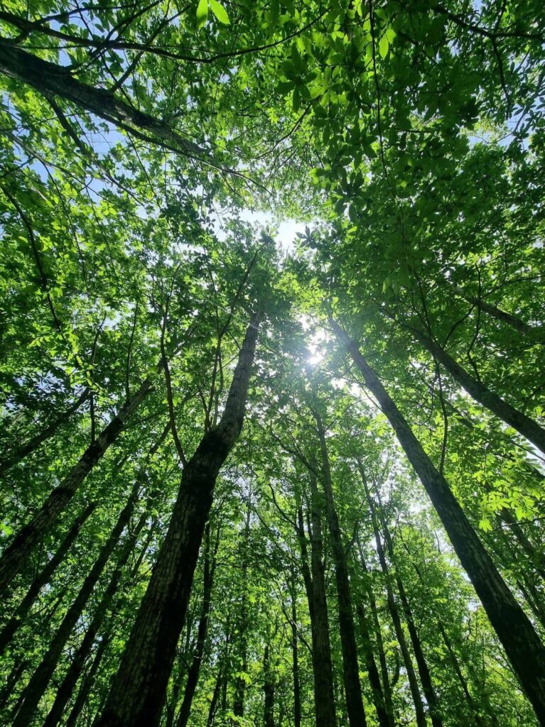 VI edizione della passeggiata degustativa PasseggianMangiando 001vincitorenature