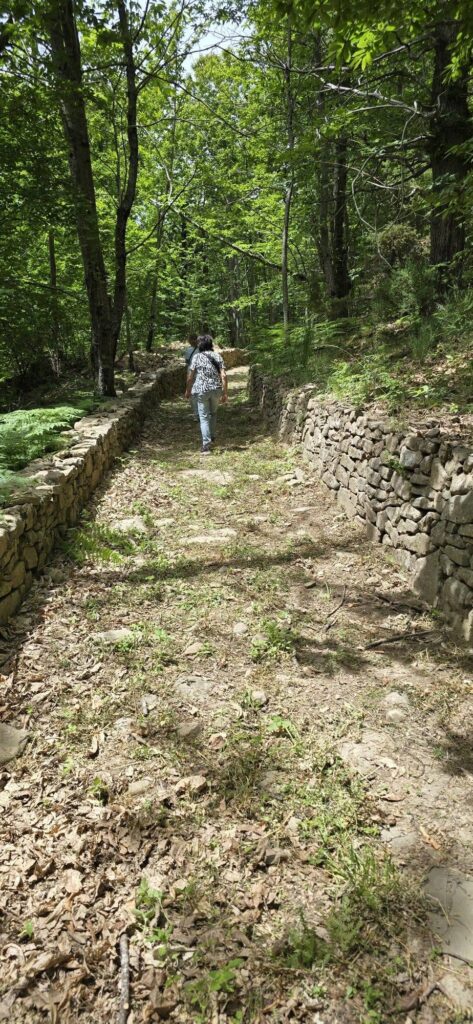 VI edizione della passeggiata degustativa PasseggianMangiando 004