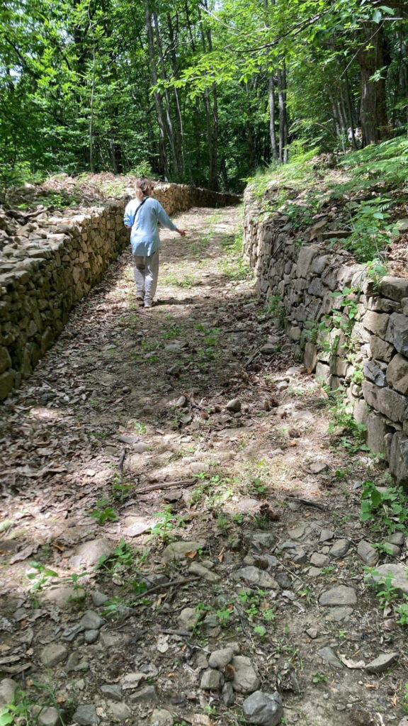 VI edizione della passeggiata degustativa PasseggianMangiando 005