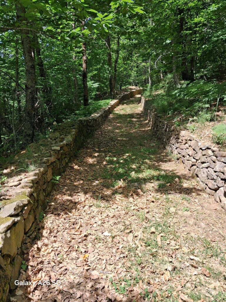 VI edizione della passeggiata degustativa PasseggianMangiando 006